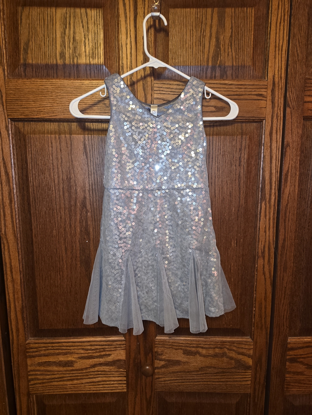 Cherokee Silver Sequin Top